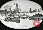 Image of workers fell trees United States USA, 1922, second 28 stock footage video 65675063922