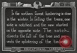 Image of workers fell trees United States USA, 1922, second 35 stock footage video 65675063922