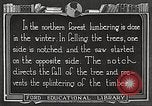 Image of workers fell trees United States USA, 1922, second 36 stock footage video 65675063922