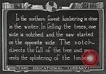 Image of workers fell trees United States USA, 1922, second 37 stock footage video 65675063922