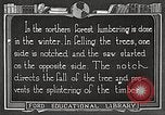 Image of workers fell trees United States USA, 1922, second 38 stock footage video 65675063922