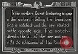 Image of workers fell trees United States USA, 1922, second 39 stock footage video 65675063922
