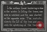 Image of workers fell trees United States USA, 1922, second 40 stock footage video 65675063922
