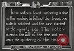 Image of workers fell trees United States USA, 1922, second 41 stock footage video 65675063922