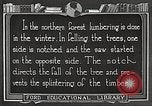 Image of workers fell trees United States USA, 1922, second 42 stock footage video 65675063922