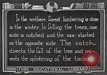 Image of workers fell trees United States USA, 1922, second 43 stock footage video 65675063922