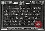 Image of workers fell trees United States USA, 1922, second 44 stock footage video 65675063922