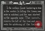 Image of workers fell trees United States USA, 1922, second 45 stock footage video 65675063922