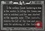 Image of workers fell trees United States USA, 1922, second 46 stock footage video 65675063922