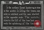 Image of workers fell trees United States USA, 1922, second 47 stock footage video 65675063922