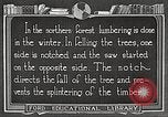 Image of workers fell trees United States USA, 1922, second 48 stock footage video 65675063922