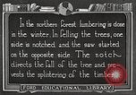 Image of workers fell trees United States USA, 1922, second 49 stock footage video 65675063922