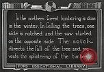 Image of workers fell trees United States USA, 1922, second 51 stock footage video 65675063922