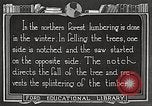 Image of workers fell trees United States USA, 1922, second 52 stock footage video 65675063922