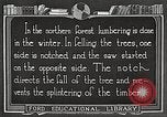 Image of workers fell trees United States USA, 1922, second 53 stock footage video 65675063922