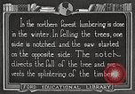Image of workers fell trees United States USA, 1922, second 54 stock footage video 65675063922