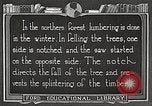 Image of workers fell trees United States USA, 1922, second 55 stock footage video 65675063922