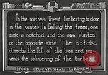 Image of workers fell trees United States USA, 1922, second 56 stock footage video 65675063922