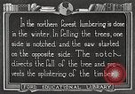 Image of workers fell trees United States USA, 1922, second 57 stock footage video 65675063922