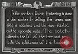 Image of workers fell trees United States USA, 1922, second 58 stock footage video 65675063922
