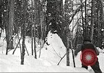 Image of workers fell trees United States USA, 1922, second 59 stock footage video 65675063922
