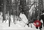 Image of workers fell trees United States USA, 1922, second 60 stock footage video 65675063922