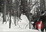 Image of workers fell trees United States USA, 1922, second 62 stock footage video 65675063922