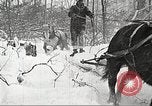 Image of lumber industry United States USA, 1922, second 11 stock footage video 65675063923