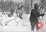 Image of lumber industry United States USA, 1922, second 14 stock footage video 65675063923