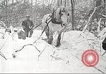 Image of lumber industry United States USA, 1922, second 16 stock footage video 65675063923