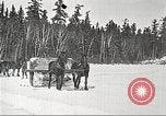 Image of lumber industry United States USA, 1922, second 44 stock footage video 65675063923