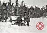Image of lumber industry United States USA, 1922, second 45 stock footage video 65675063923