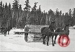 Image of lumber industry United States USA, 1922, second 47 stock footage video 65675063923