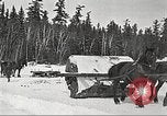 Image of lumber industry United States USA, 1922, second 48 stock footage video 65675063923