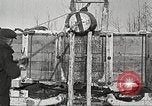 Image of lumber industry United States USA, 1922, second 58 stock footage video 65675063923