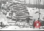 Image of lumber industry United States USA, 1922, second 15 stock footage video 65675063924