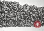 Image of lumber industry United States USA, 1922, second 18 stock footage video 65675063924