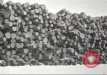 Image of lumber industry United States USA, 1922, second 19 stock footage video 65675063924