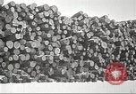 Image of lumber industry United States USA, 1922, second 20 stock footage video 65675063924