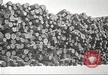 Image of lumber industry United States USA, 1922, second 21 stock footage video 65675063924