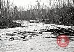 Image of lumber industry United States USA, 1922, second 33 stock footage video 65675063924