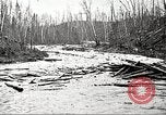 Image of lumber industry United States USA, 1922, second 34 stock footage video 65675063924