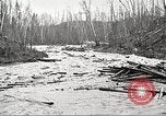 Image of lumber industry United States USA, 1922, second 38 stock footage video 65675063924
