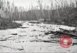 Image of lumber industry United States USA, 1922, second 39 stock footage video 65675063924