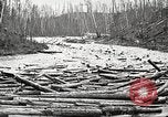 Image of lumber industry United States USA, 1922, second 41 stock footage video 65675063924