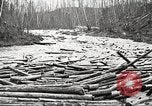 Image of lumber industry United States USA, 1922, second 42 stock footage video 65675063924