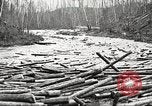 Image of lumber industry United States USA, 1922, second 43 stock footage video 65675063924