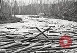Image of lumber industry United States USA, 1922, second 44 stock footage video 65675063924