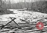 Image of lumber industry United States USA, 1922, second 45 stock footage video 65675063924