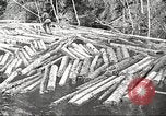 Image of lumber industry United States USA, 1922, second 56 stock footage video 65675063924